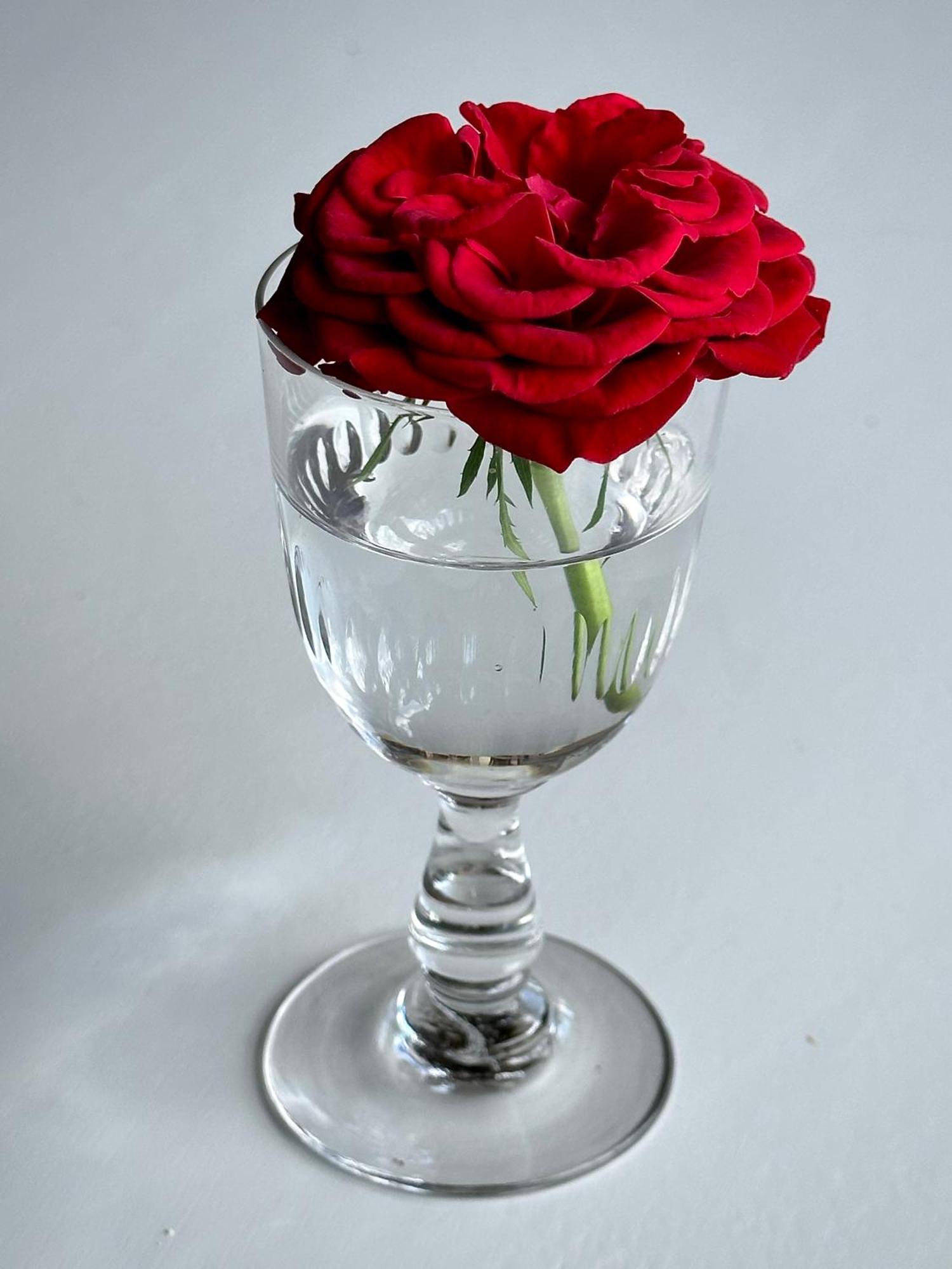 Le Chatenet 1689 บร็องโทม ภายนอก รูปภาพ